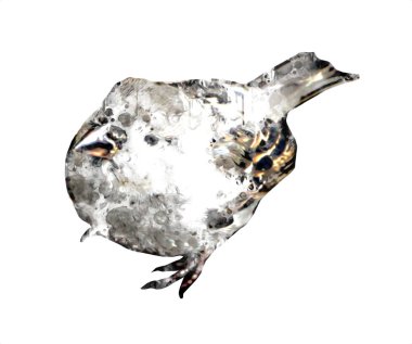 Serçe kuşu klasik illüstrasyon sanatı eskiz çiziyor antika eski