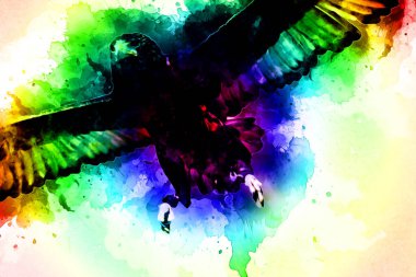 Falcon, arka plan illüstrasyonuna el çizimi ve boya rengi, şahin klasik retro