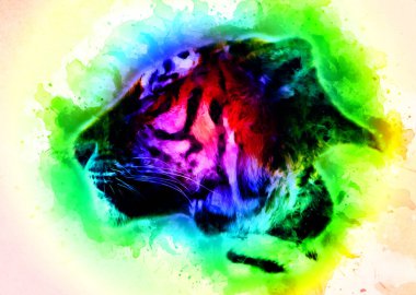 Kaplan sanatı illüstrasyon rengi vintage grunge retro