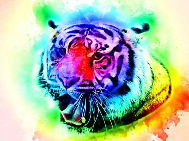 Kaplan sanatı illüstrasyon rengi vintage grunge retro