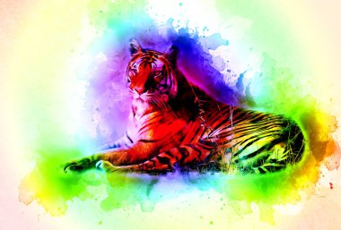 Kaplan sanatı illüstrasyon rengi vintage grunge retro