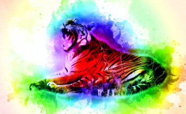 Kaplan sanatı illüstrasyon rengi vintage grunge retro