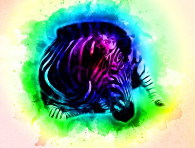 Zebra 'nın çizimi, Afrika memelilerinin çizimi.