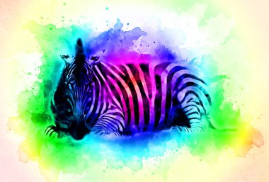 Zebra 'nın çizimi, Afrika memelilerinin çizimi.