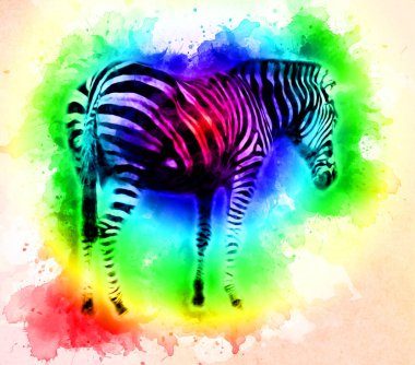 Zebra 'nın çizimi, Afrika memelilerinin çizimi.