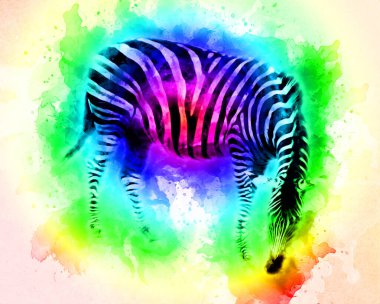 Zebra 'nın çizimi, Afrika memelilerinin çizimi.