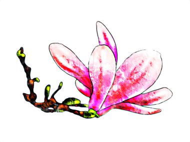 Resim resimli klasik arkaplan