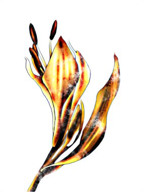 Resim resimli klasik arkaplan