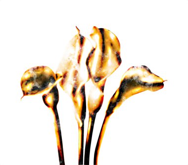 Resim resimli klasik arkaplan