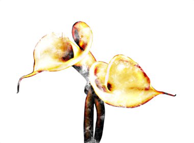 Resim resimli klasik arkaplan