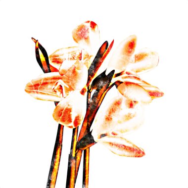 Resim resimli klasik arkaplan