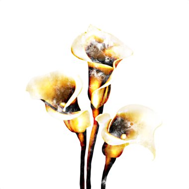 Resim resimli klasik arkaplan