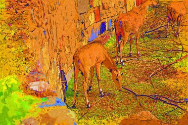 Doğal Park 'ta yatan Erkek Su Kombosu' nun Portresi