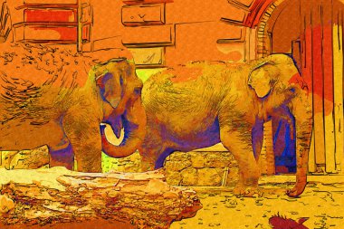 Fil fotoğrafçılığı hayvanat bahçesi klasik ormanı.