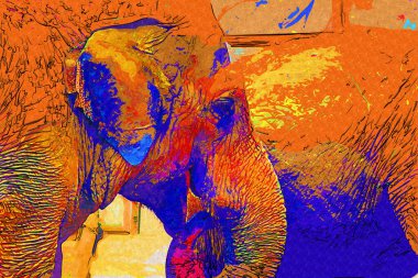 Fil fotoğrafçılığı hayvanat bahçesi klasik ormanı.