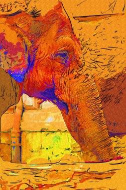 Fil fotoğrafçılığı hayvanat bahçesi klasik ormanı.