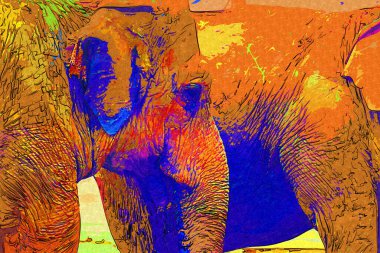 Fil fotoğrafçılığı hayvanat bahçesi klasik ormanı.