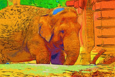 Fil fotoğrafçılığı hayvanat bahçesi klasik ormanı.