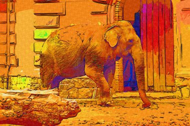 Fil fotoğrafçılığı hayvanat bahçesi klasik ormanı.