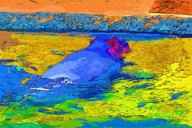 Hippo fotogrpahy sanat eseri hayvanat bahçesi manzarası