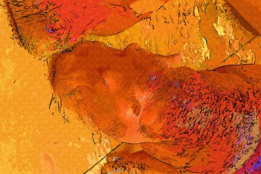 Hippo fotogrpahy sanat eseri hayvanat bahçesi manzarası