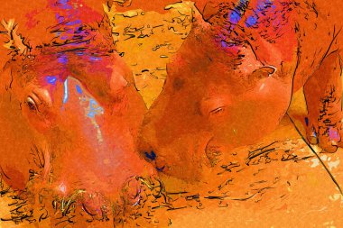 Hippo fotogrpahy sanat eseri hayvanat bahçesi manzarası