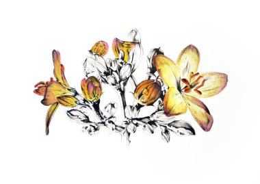 Sanat illüstrasyonu çiçekli klasik arkaplan