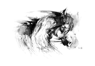 serbest el at baş karakalem