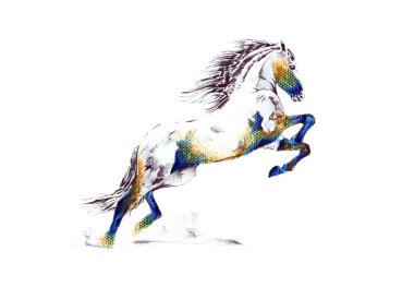 serbest el at baş karakalem