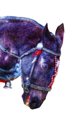 Renkli at resmi grunge resmi