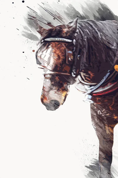 Pittura Grunge Colorata Illustrazione Arte Cavallo — Foto Stock