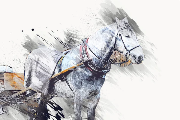 Colorido Caballo Arte Ilustración Grunge Pintura — Foto de Stock