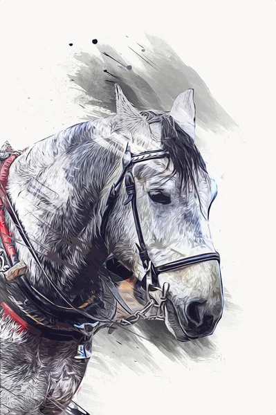 Colorido Caballo Arte Ilustración Grunge Pintura —  Fotos de Stock