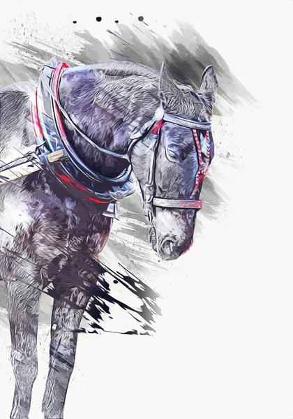 Illustration Art Cheval Coloré Peinture Grunge — Photo