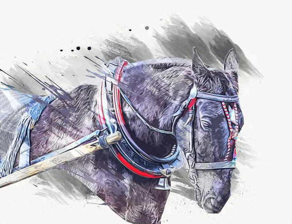 Colorido Caballo Arte Ilustración Grunge Pintura — Foto de Stock