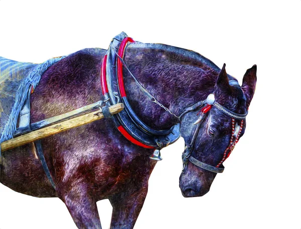 Colorful horse art illustration grunge painting