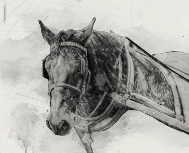 Renkli at resmi grunge resmi