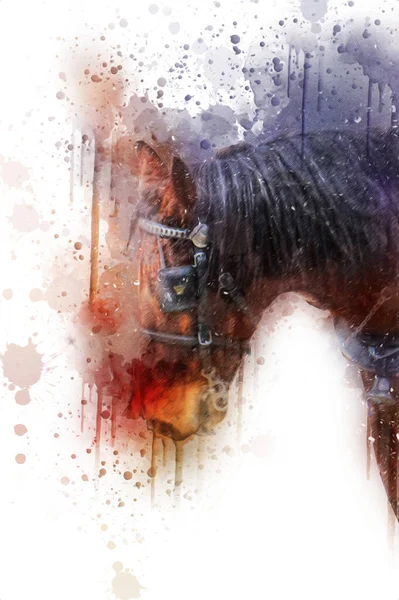 Colorido Caballo Arte Ilustración Grunge Pintura — Foto de Stock