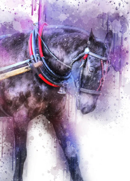 Pittura Grunge Colorata Illustrazione Arte Cavallo — Foto Stock