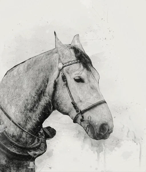 Colorido Caballo Arte Ilustración Grunge Pintura — Foto de Stock