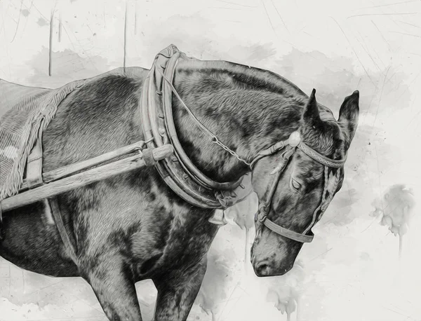 Πολύχρωμο Άλογο Τέχνης Απεικόνιση Grunge Ζωγραφική — Φωτογραφία Αρχείου