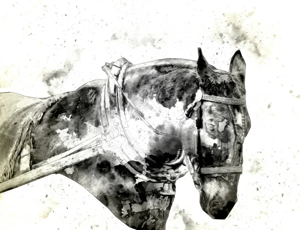 Colorido Caballo Arte Ilustración Grunge Pintura —  Fotos de Stock