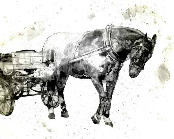 Colorido Caballo Arte Ilustración Grunge Pintura — Foto de Stock