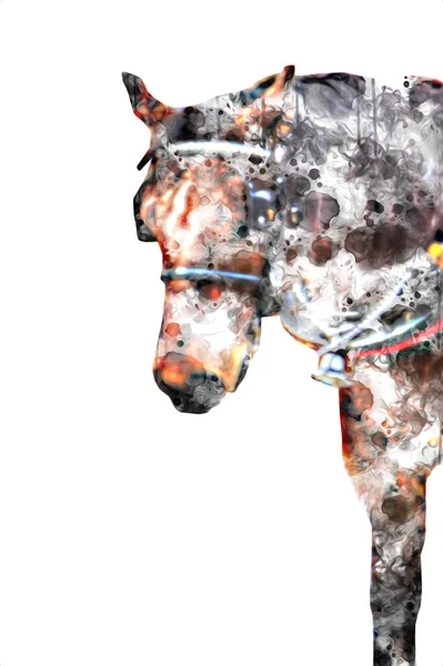 Colorido Caballo Arte Ilustración Grunge Pintura —  Fotos de Stock