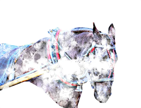 Colorido Caballo Arte Ilustración Grunge Pintura — Foto de Stock