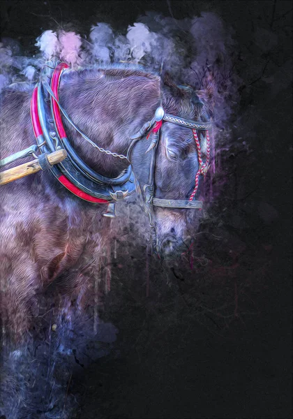 Illustration Art Cheval Coloré Peinture Grunge — Photo