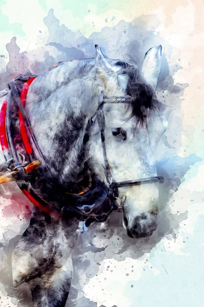 Pittura Grunge Colorata Illustrazione Arte Cavallo — Foto Stock