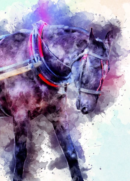 Pittura Grunge Colorata Illustrazione Arte Cavallo — Foto Stock