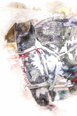 Renkli at resmi grunge resmi