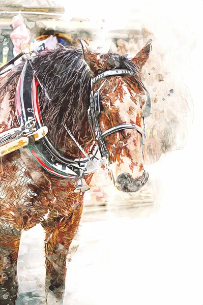 Colorful horse art illustration grunge painting